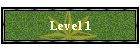 Level 1