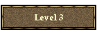 Level 3