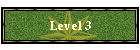 Level 3